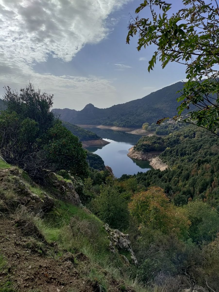Ausflugsfoto - in Ajaccio (Korsika) - Frankreich - Mittelmeer - Kreuzfahrt mit AIDAcosma - 2024