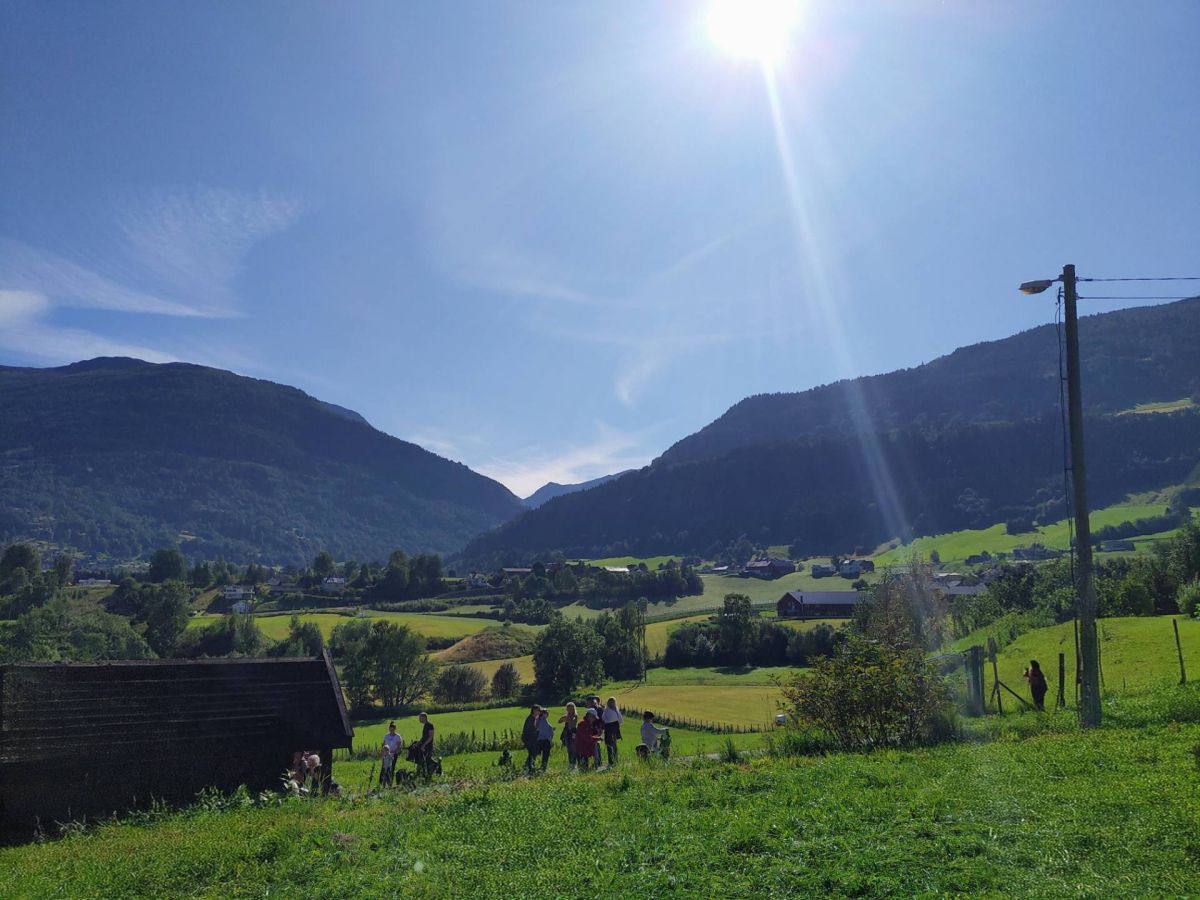 Ausflugsfoto - in Bergen - Norwegen - Nordeuropa - Kreuzfahrt mit AIDAdiva - 2025