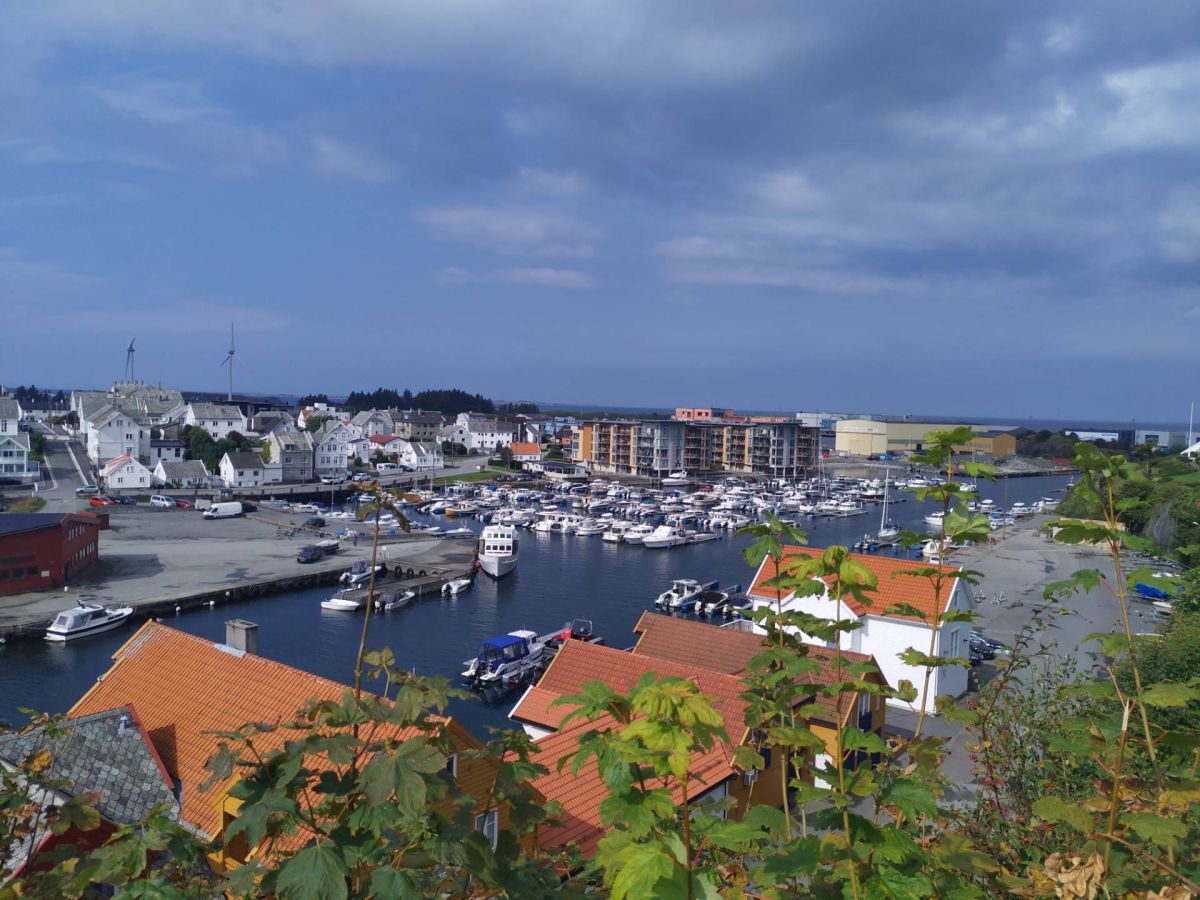 Ausflugsfoto - in Bergen - Norwegen - Nordeuropa - Kreuzfahrt mit AIDAdiva - 2025 - Bild 3