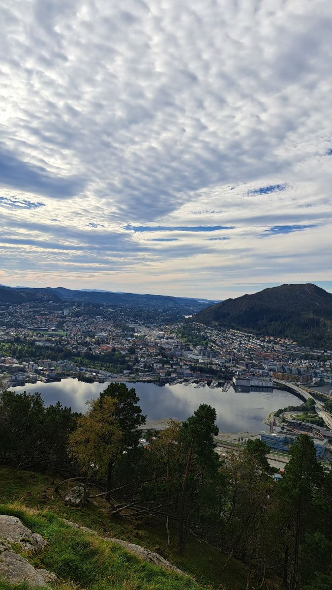 Ausflugsfoto - in Bergen - Norwegen - Nordeuropa - Kreuzfahrt mit AIDAperla - 2025 - Bild 4