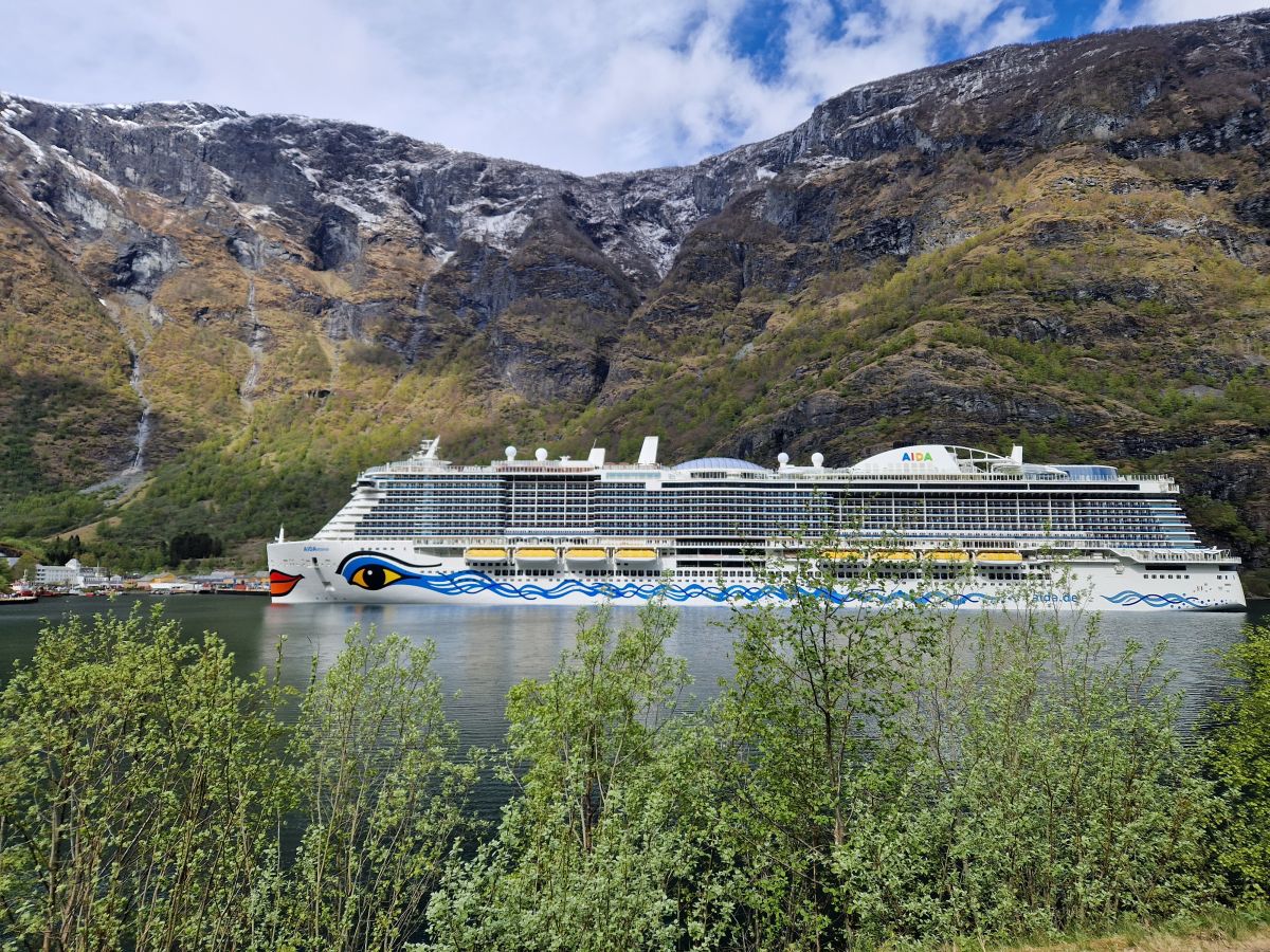 Ausflugsfoto - in Flåm - Norwegen - Nordeuropa - Kreuzfahrt mit AIDAnova - 2026 - Bild 2
