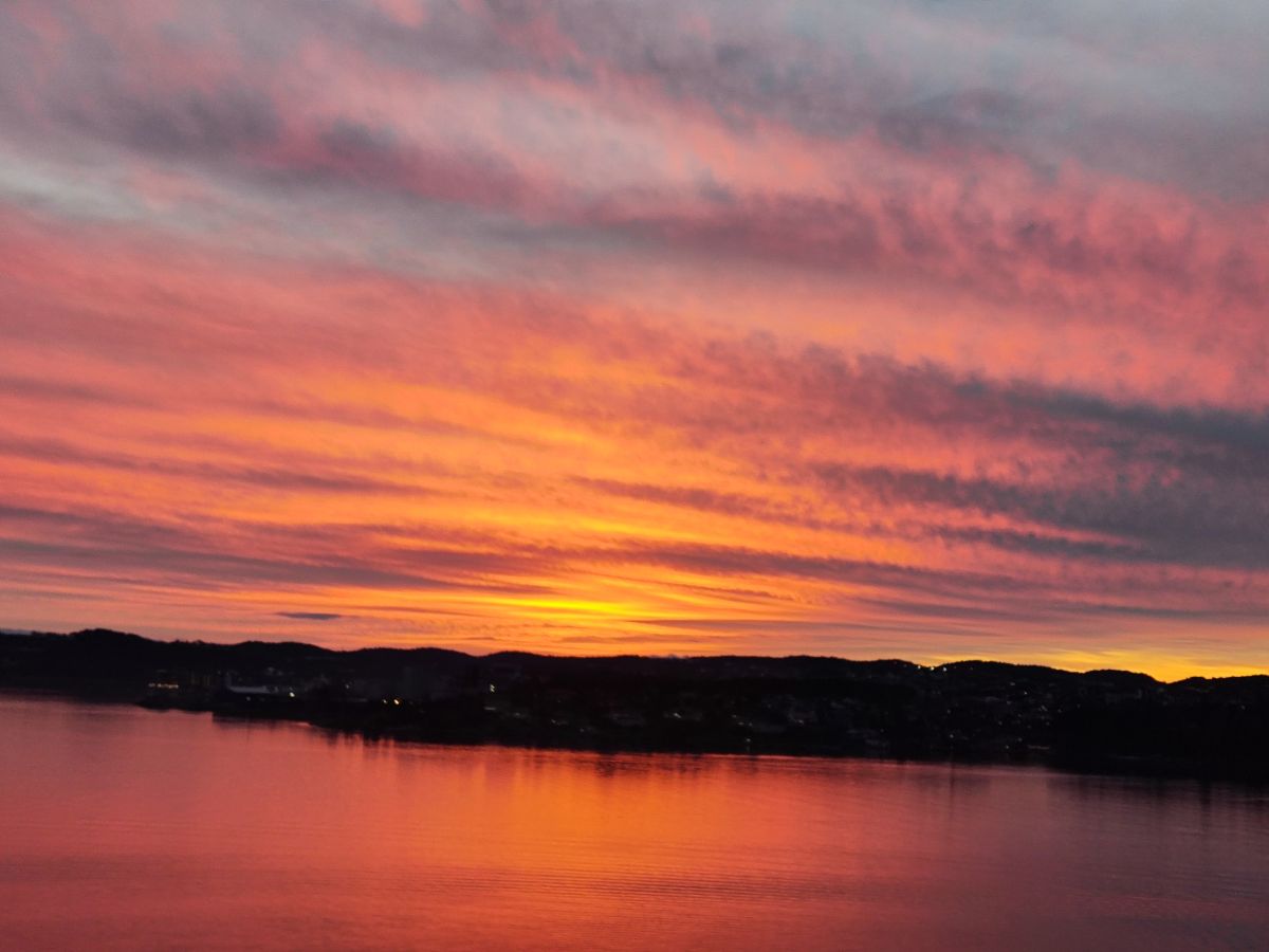 Ausflugsfoto - in Kristiansand - Norwegen - Nordeuropa - Kreuzfahrt mit AIDAprima - 2025 - Bild 2