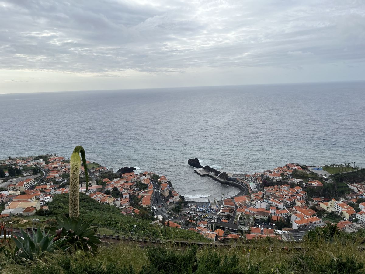 Ausflugsfoto - in Funchal - Madeira - Portugal - Kanaren - Kreuzfahrt mit Mein Schiff 5 - 2025