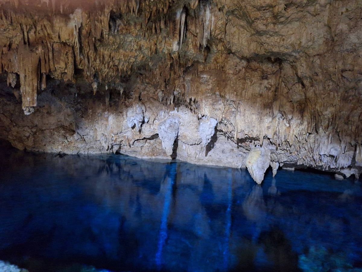 Ausflugsfoto - in La Romana - Dominikanische Republik - Karibik - Kreuzfahrt mit AIDAblu - 2026 - Bild 3