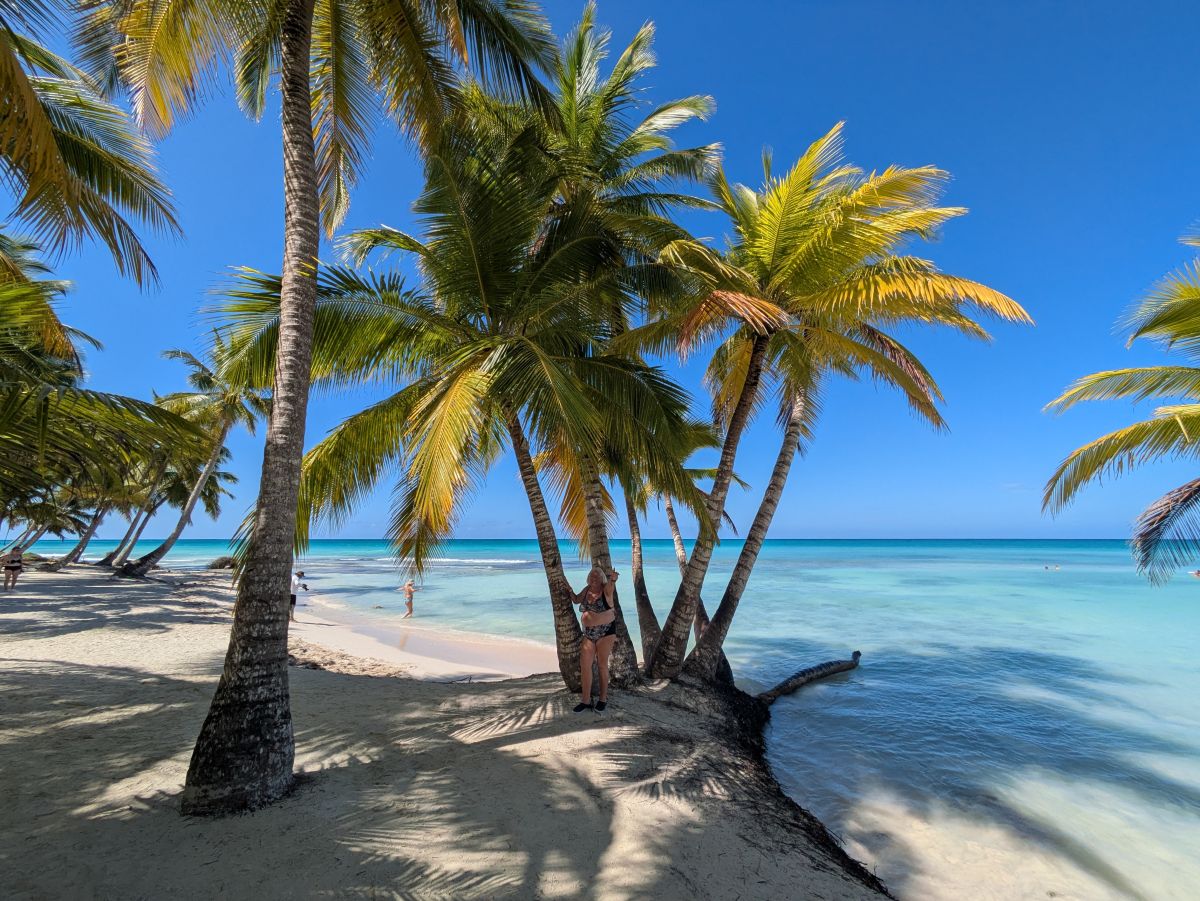 Ausflugsfoto - in La Romana - Dominikanische Republik - Karibik - Kreuzfahrt mit AIDAblu - 2026