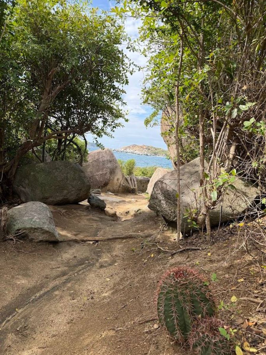 Ausflugsfoto - in Road Town - Tortola - Karibik - Kreuzfahrt mit AIDAsol - 2026 - Bild 2