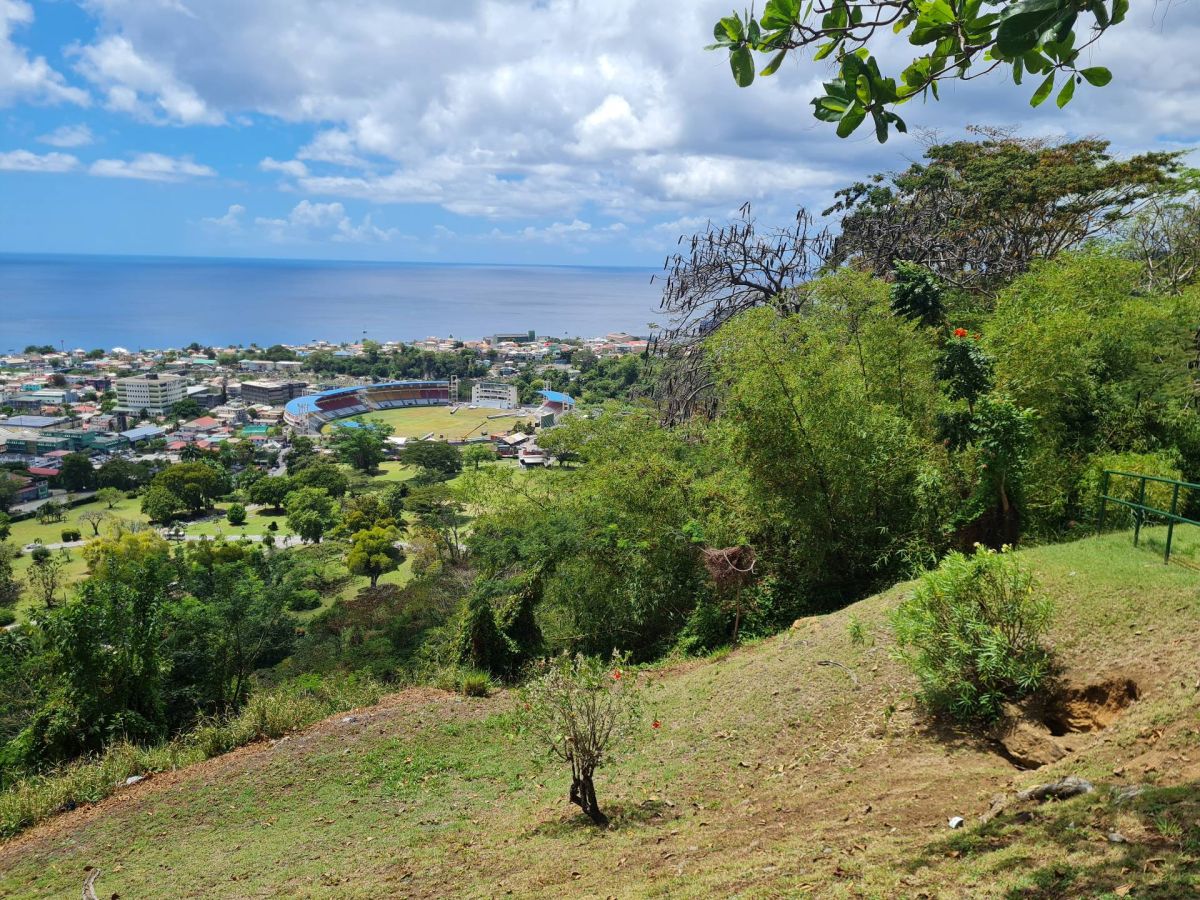 Ausflugsfoto - in Roseau - Dominica - Karibik - Kreuzfahrt mit AIDAblu - 2026