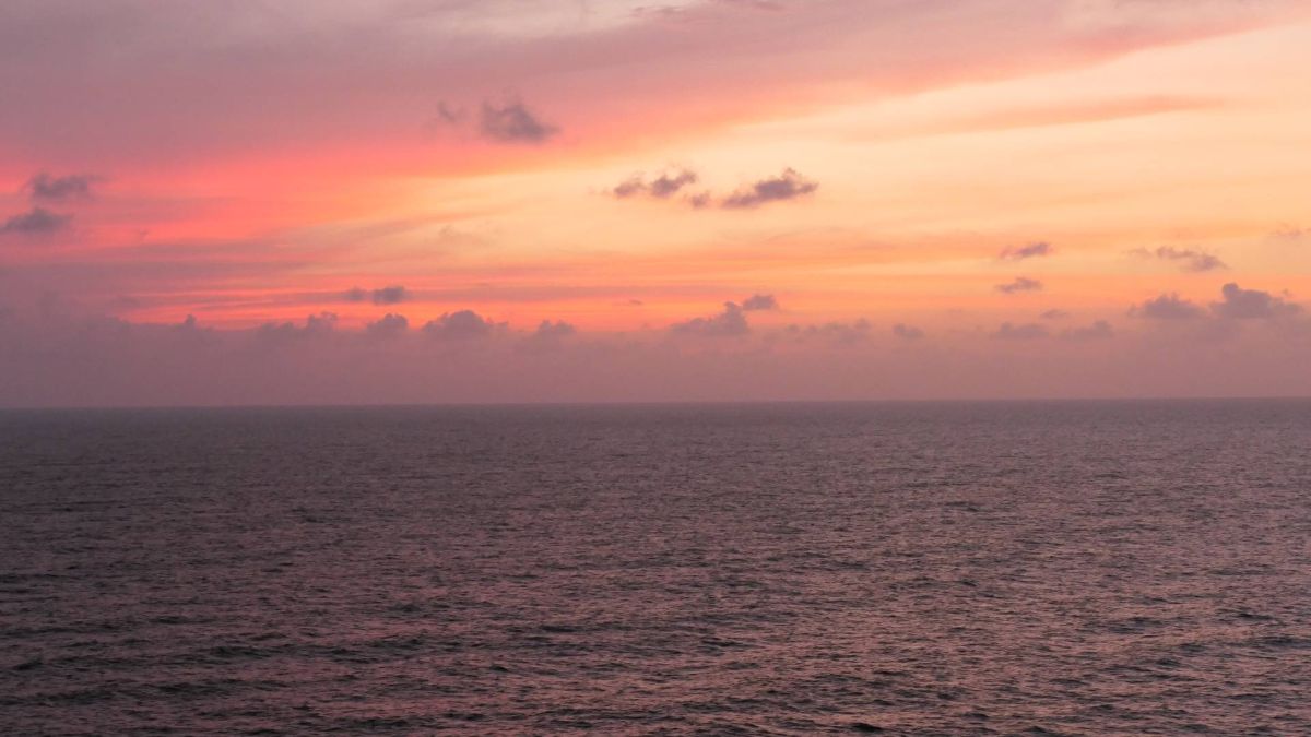 Kabinenfoto - auf Mein Schiff 1 - Balkonkabine - Nummer 11145 - Kreuzfahrt Karibik - 2026 - Bild 3